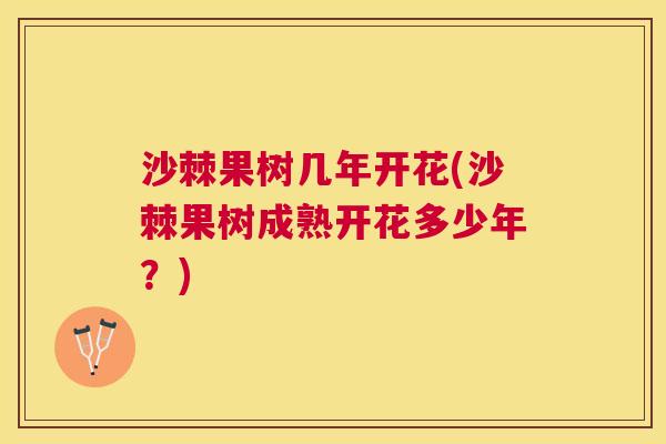 沙棘果树几年开花(沙棘果树成熟开花多少年？)