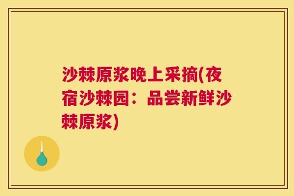 沙棘原浆晚上采摘(夜宿沙棘园:品尝新鲜沙棘原浆) 沙棘原浆晚上采摘(夜宿沙棘园:品尝新鲜沙棘原浆)