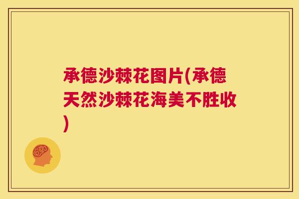 承德沙棘花图片(承德天然沙棘花海美不胜收)