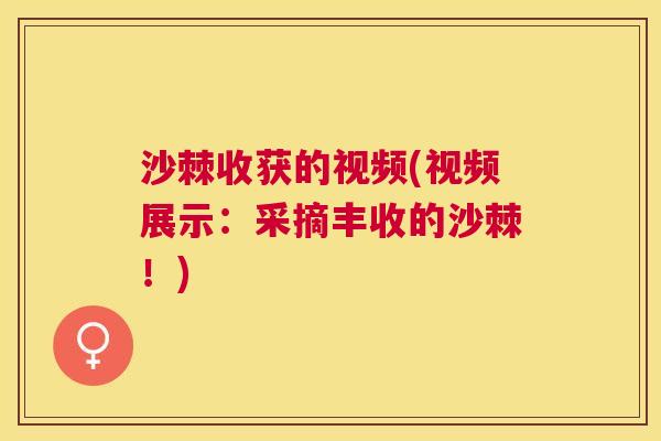 沙棘收获的视频(视频展示：采摘丰收的沙棘！)