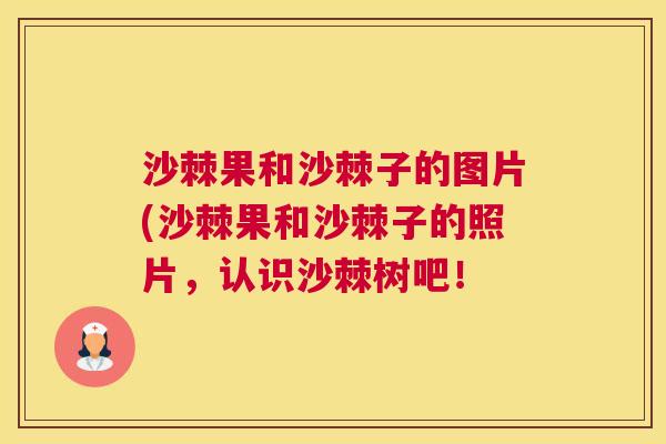 沙棘果和沙棘子的图片(沙棘果和沙棘子的照片，认识沙棘树吧！