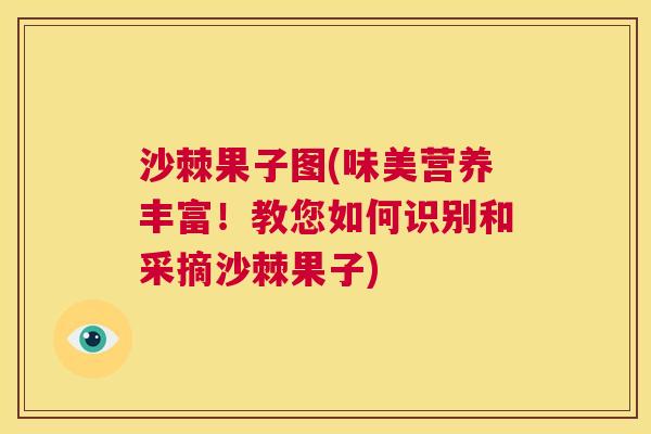 沙棘果子图(味美营养丰富！教您如何识别和采摘沙棘果子)