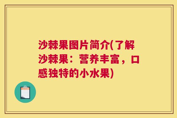 沙棘果图片简介(了解沙棘果：营养丰富，口感独特的小水果)