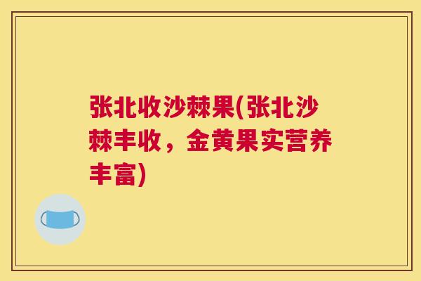 张北收沙棘果(张北沙棘丰收，金黄果实营养丰富)
