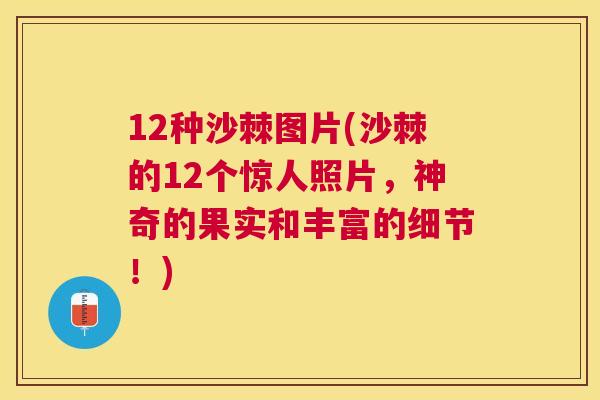 12种沙棘图片(沙棘的12个惊人照片，神奇的果实和丰富的细节！)