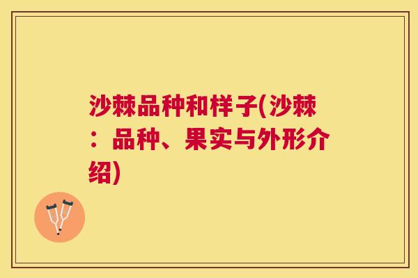 沙棘品种和样子(沙棘：品种、果实与外形介绍)