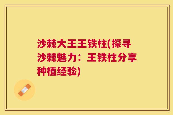 沙棘大王王铁柱(探寻沙棘魅力：王铁柱分享种植经验)