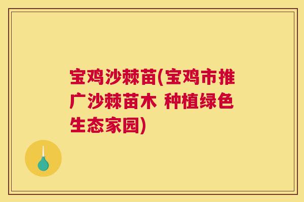宝鸡沙棘苗(宝鸡市推广沙棘苗木 种植绿色生态家园)