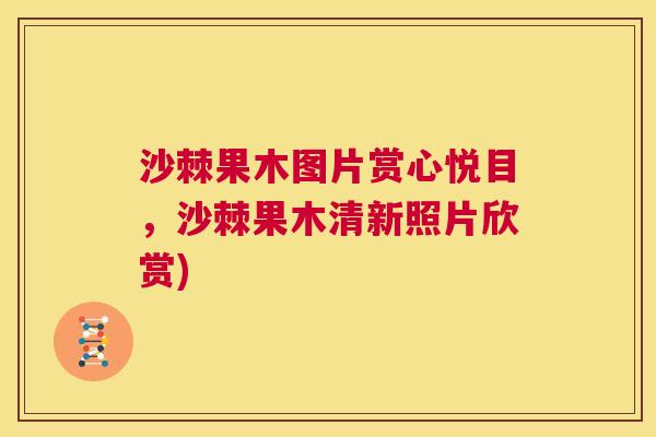 沙棘果木图片赏心悦目，沙棘果木清新照片欣赏)