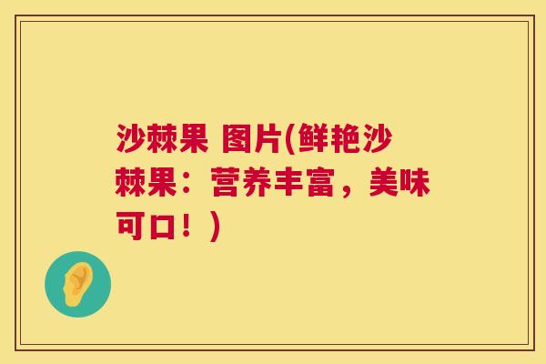沙棘果 图片(鲜艳沙棘果：营养丰富，美味可口！)