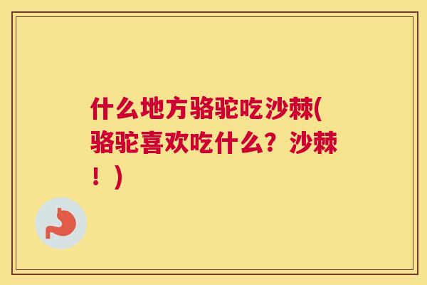 什么地方骆驼吃沙棘(骆驼喜欢吃什么？沙棘！)