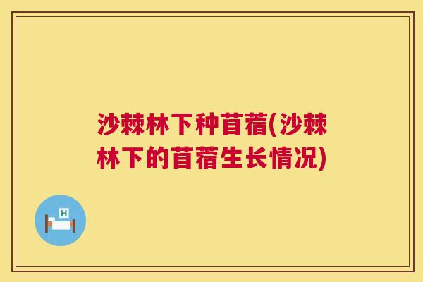 沙棘林下种苜蓿(沙棘林下的苜蓿生长情况) 沙棘林下种苜蓿(沙棘林下的苜蓿生长情况)