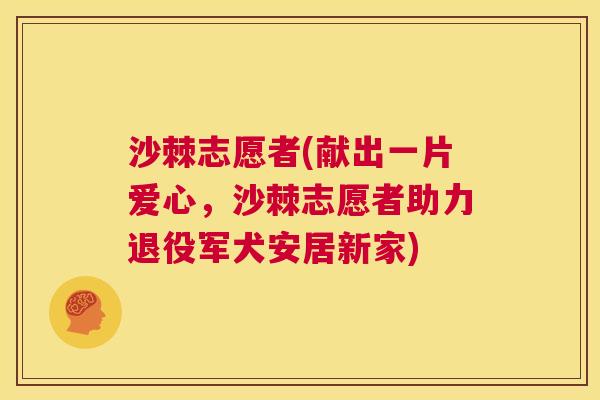 沙棘志愿者(献出一片爱心，沙棘志愿者助力退役军犬安居新家)