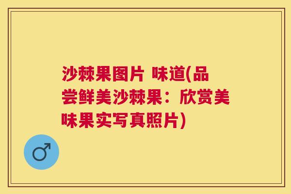 沙棘果图片 味道(品尝鲜美沙棘果：欣赏美味果实写真照片)