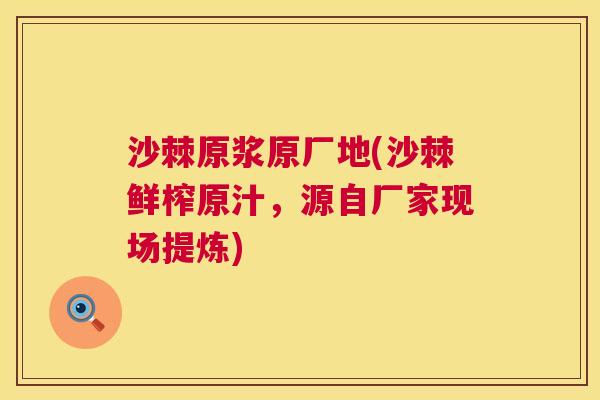 沙棘原浆原厂地(沙棘鲜榨原汁，源自厂家现场提炼)