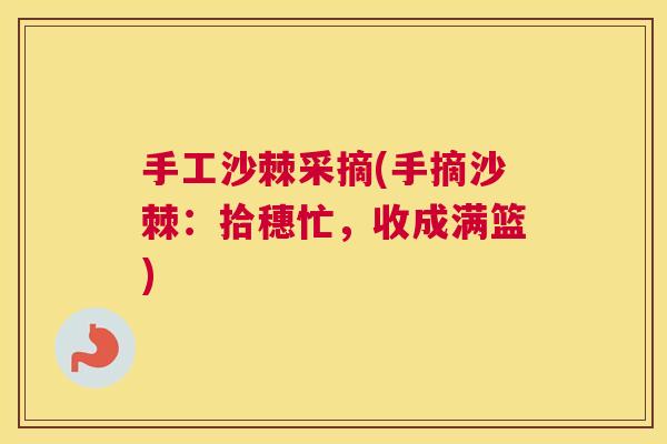 手工沙棘采摘(手摘沙棘：拾穗忙，收成满篮)