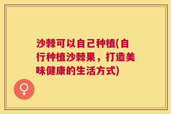 沙棘可以自己种植(自行种植沙棘果，打造美味健康的生活方式)