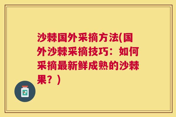 沙棘国外采摘方法(国外沙棘采摘技巧:如何采摘新鲜成熟的沙棘果?) 沙棘国外采摘方法(国外沙棘采摘技巧:如何采摘新鲜成熟的沙棘果?)