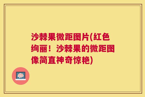 沙棘果微距图片(红色绚丽！沙棘果的微距图像简直神奇惊艳)