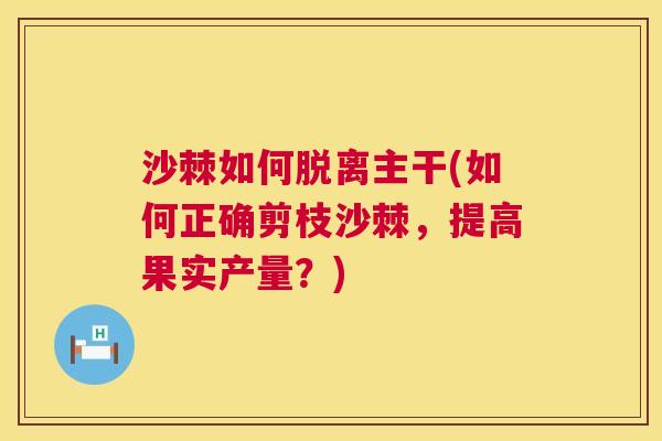 沙棘如何脱离主干(如何正确剪枝沙棘，提高果实产量？)