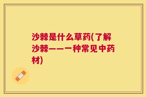 沙棘是什么草药(了解沙棘——一种常见中药材)