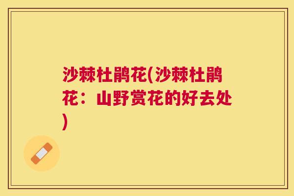 沙棘杜鹃花(沙棘杜鹃花：山野赏花的好去处)
