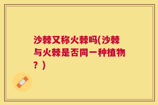 沙棘又称火棘吗(沙棘与火棘是否同一种植物？)