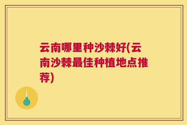 云南哪里种沙棘好(云南沙棘最佳种植地点推荐)