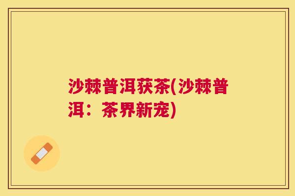 沙棘普洱获茶(沙棘普洱：茶界新宠)