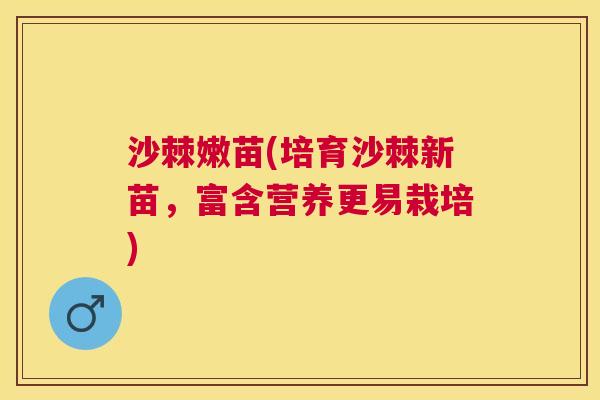 沙棘嫩苗(培育沙棘新苗，富含营养更易栽培)