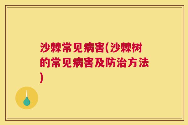 沙棘常见病害(沙棘树的常见病害及防治方法)