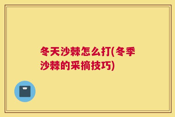 冬天沙棘怎么打(冬季沙棘的采摘技巧)