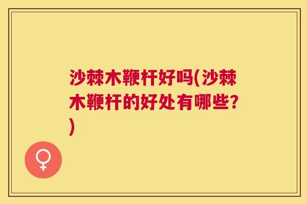 沙棘木鞭杆好吗(沙棘木鞭杆的好处有哪些？)