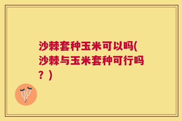 沙棘套种玉米可以吗(沙棘与玉米套种可行吗？)