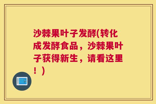 沙棘果叶子发酵(转化成发酵食品，沙棘果叶子获得新生，请看这里！)
