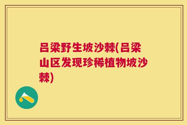 吕梁野生坡沙棘(吕梁山区发现珍稀植物坡沙棘)