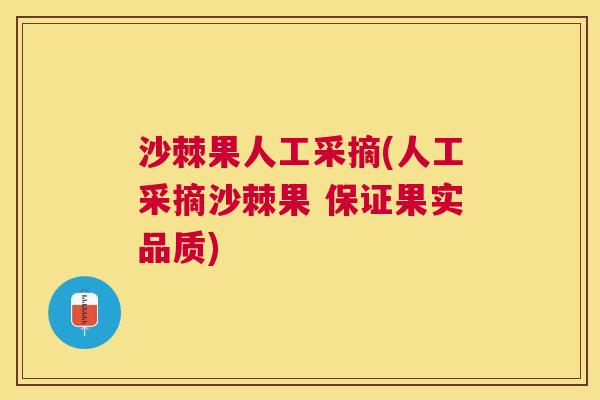 沙棘果人工采摘(人工采摘沙棘果 保证果实品质)