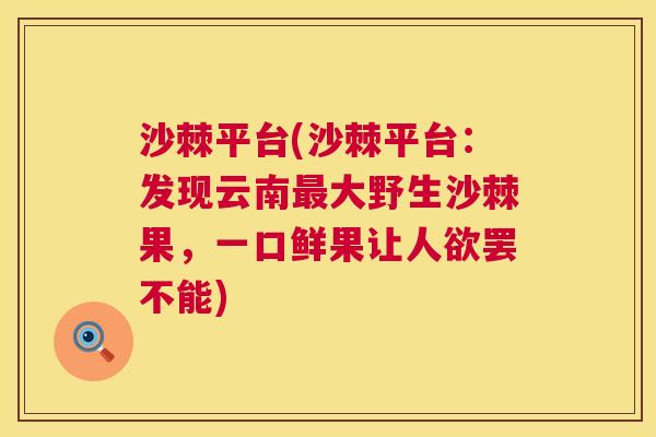 沙棘平台(沙棘平台：发现云南最大野生沙棘果，一口鲜果让人欲罢不能)