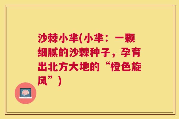 沙棘小芈(小芈：一颗细腻的沙棘种子，孕育出北方大地的“橙色旋风”)