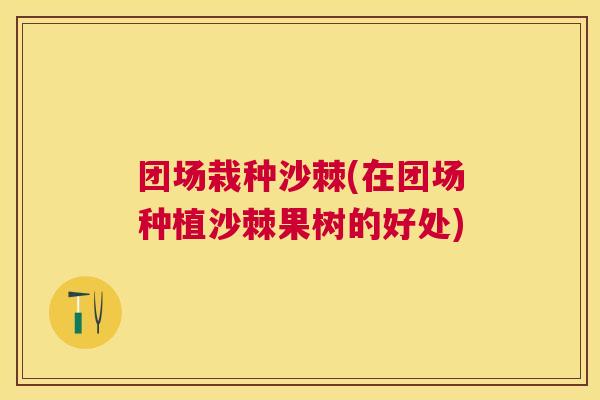 团场栽种沙棘(在团场种植沙棘果树的好处)