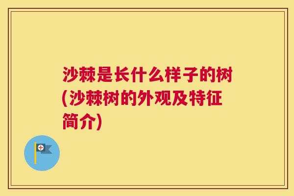 沙棘是长什么样子的树(沙棘树的外观及特征简介)