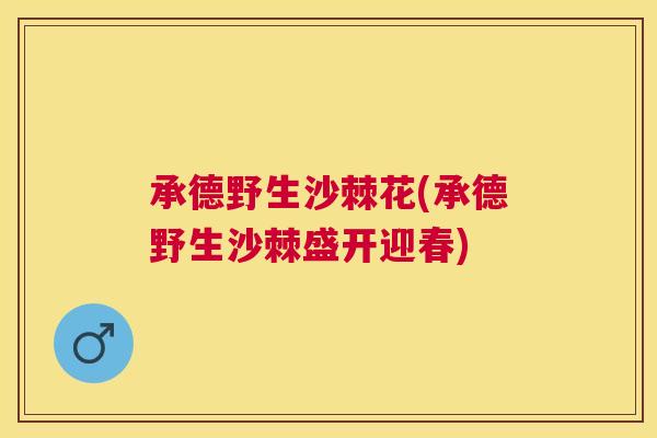 承德野生沙棘花(承德野生沙棘盛开迎春)