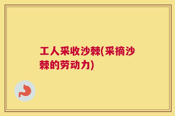 工人采收沙棘(采摘沙棘的劳动力)