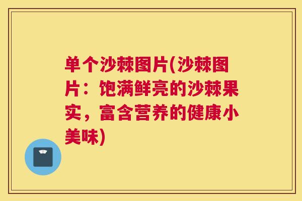 单个沙棘图片(沙棘图片：饱满鲜亮的沙棘果实，富含营养的健康小美味)