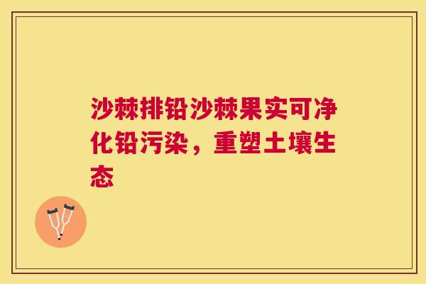 沙棘排铅沙棘果实可净化铅污染，重塑土壤生态