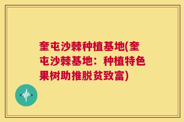 奎屯沙棘种植基地(奎屯沙棘基地：种植特色果树助推脱贫致富)