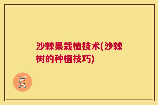沙棘果栽植技术(沙棘树的种植技巧)