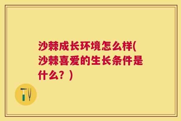 沙棘成长环境怎么样(沙棘喜爱的生长条件是什么？)