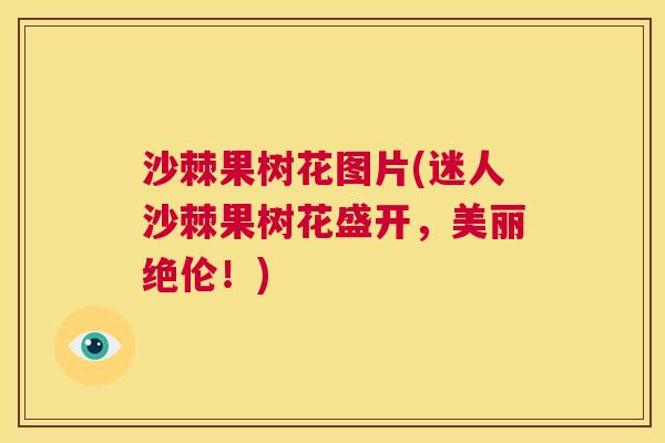 沙棘果树花图片(迷人沙棘果树花盛开，美丽绝伦！)