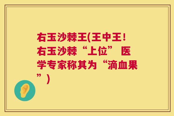 右玉沙棘王(王中王！右玉沙棘“上位” 医学专家称其为“滴血果”)